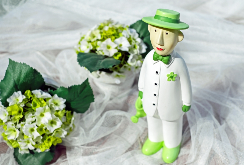 vitrine-ST MARTIN VESUBIE-min_man-person-flower-green-toy-fig-546529-pxhere.com